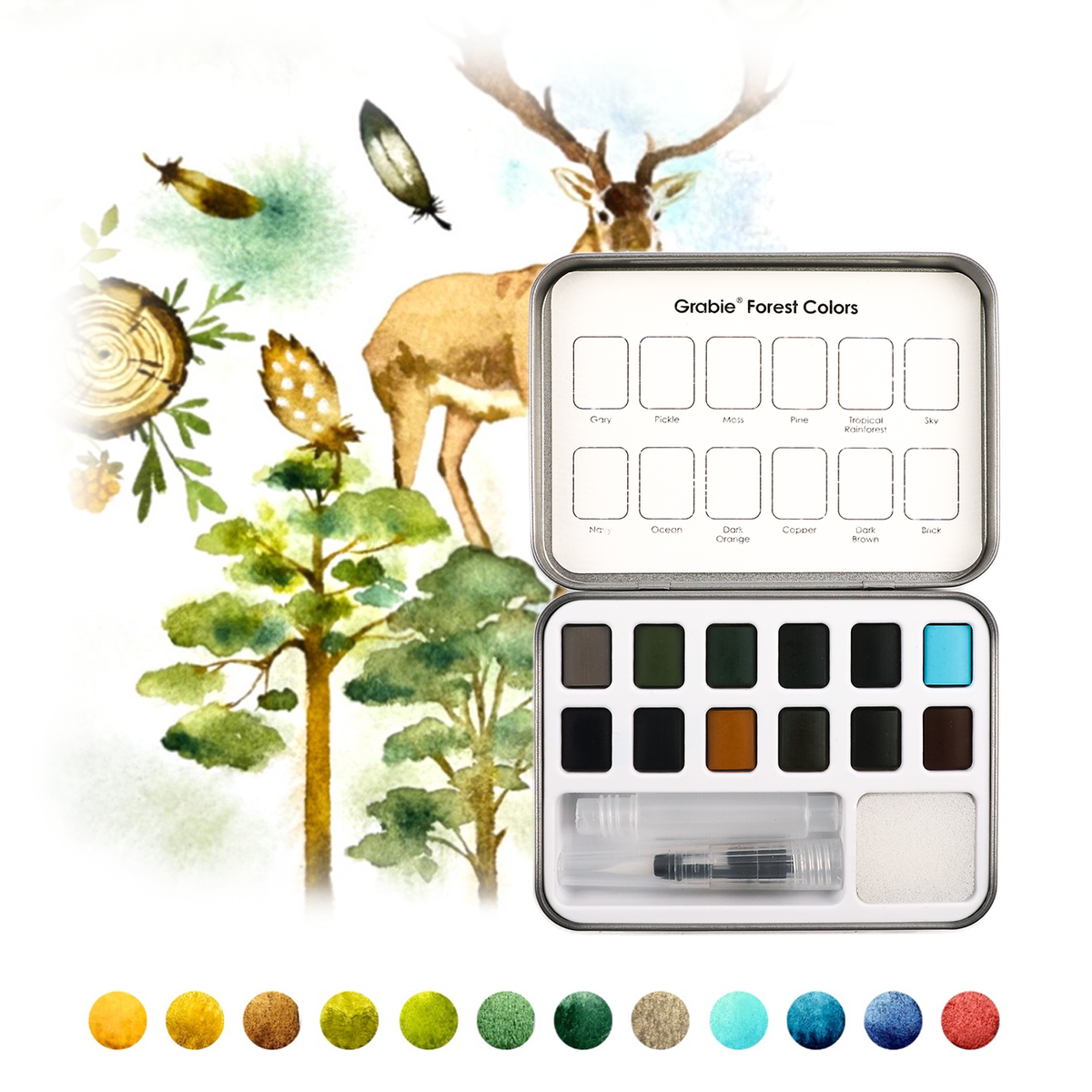 Finished forest watercolor illustration with trees, mushrooms, and woodland plants