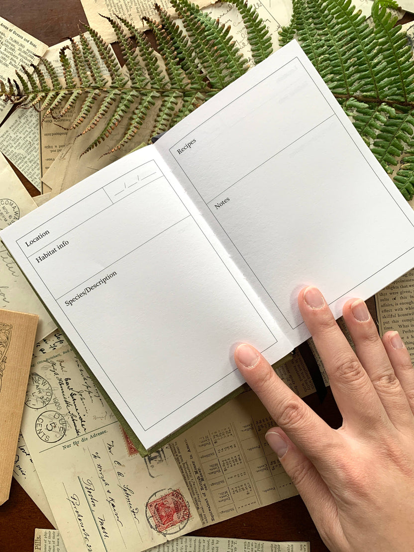 foraging journal A6, pocket RPG notebook, green field notebook, forager logbook, journaling for DnD characters, character tracking notebook, nature journal A6, spore print notebook, field notes RPG accessory, best A6 notebook for fountain pens