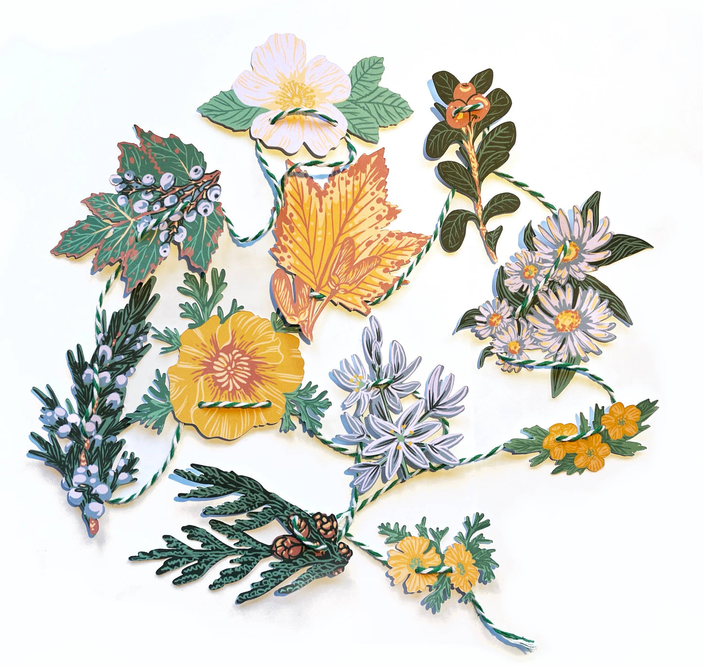 Hissing Mink Pacific Northwest native plants mini paper garland featuring botanical illustrations of regional plant species and woodland decor