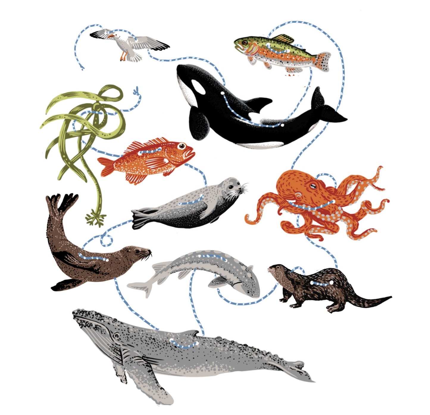 Hissing Mink Salish Sea paper garland featuring marine species inspired by the coastal ecosystems of the Pacific Northwest