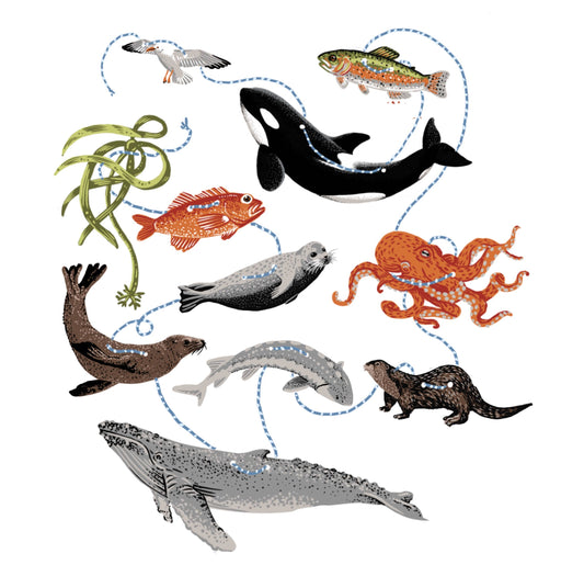 Hissing Mink Salish Sea paper garland featuring marine species inspired by the coastal ecosystems of the Pacific Northwest