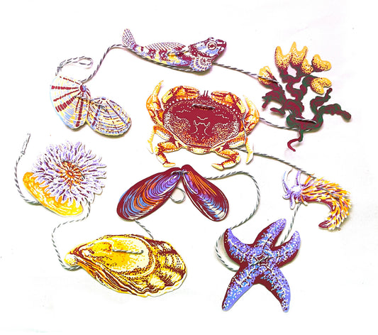 Colorful Hissing Mink tide pool paper garland featuring crabs, kelp, sea stars, and anemones inspired by Pacific Northwest coastal marine life