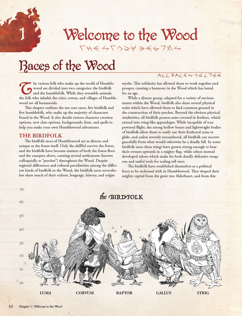 Humblewood campaign setting book, Humblewood hardcover 5e, Hit Point Press Humblewood book, 5e campaign world Everden, Great Tree City Alderheart, birdfolk and humblefolk DnD, new DnD playable races, DnD forest fire adventure, 5e adventures level 1 to 5, Humblewood RPG sourcebook