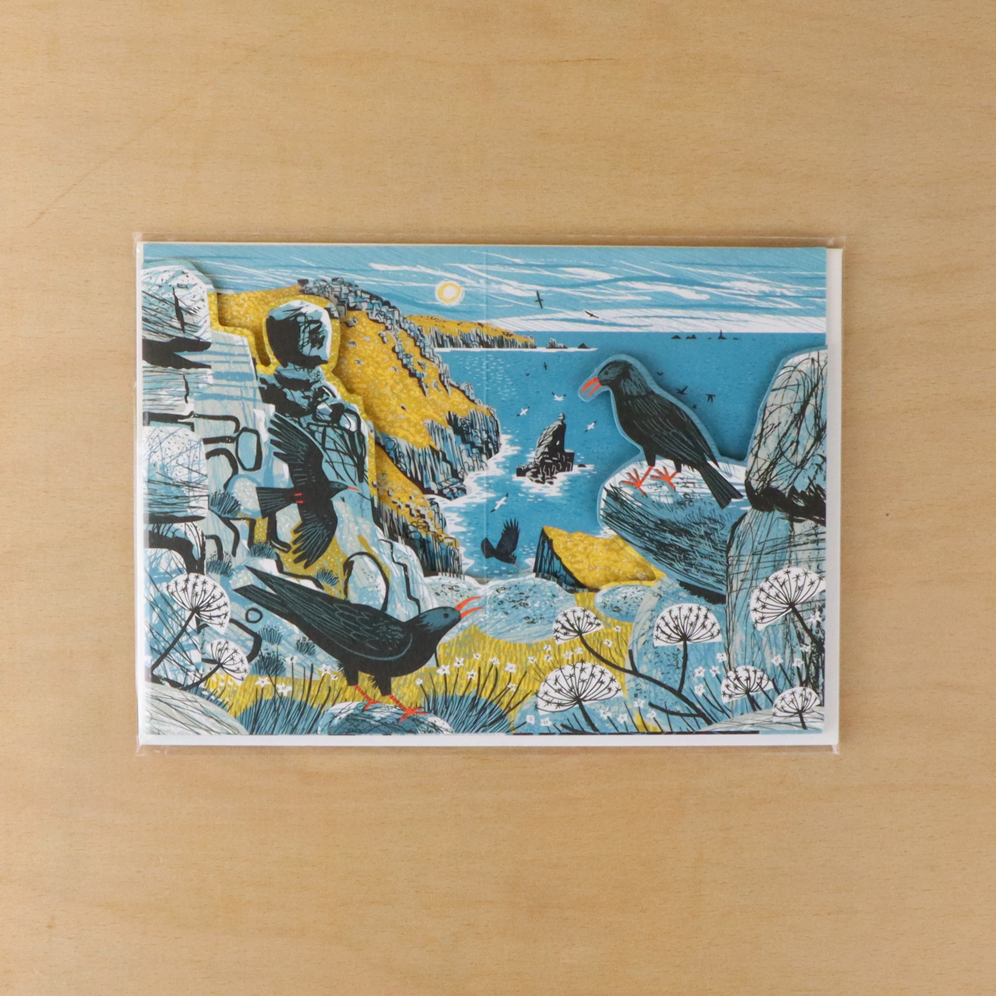 Matt Johnson Mayon Cliff Choughs greeting card packaged in a protective clear sleeve with kraft envelope.