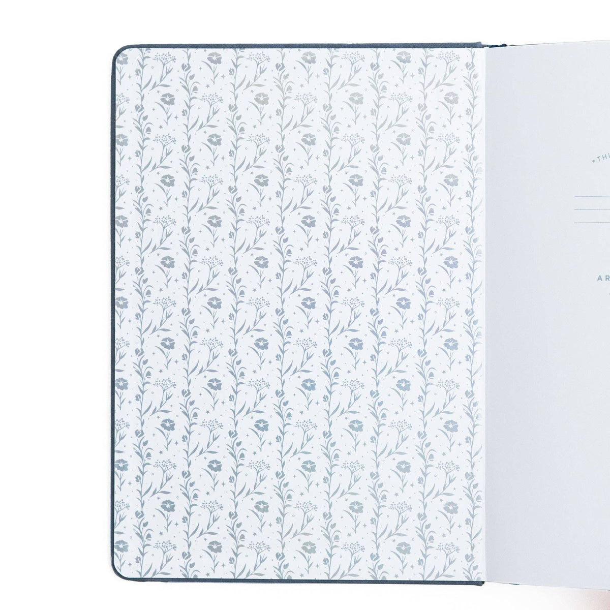 Illustrated botanical endpaper inside Archer and Olive Moonlit Garden notebook