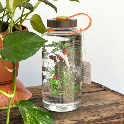 Clear water bottle with chaparral woodpecker nature-themed design on a wooden surface next to a plant