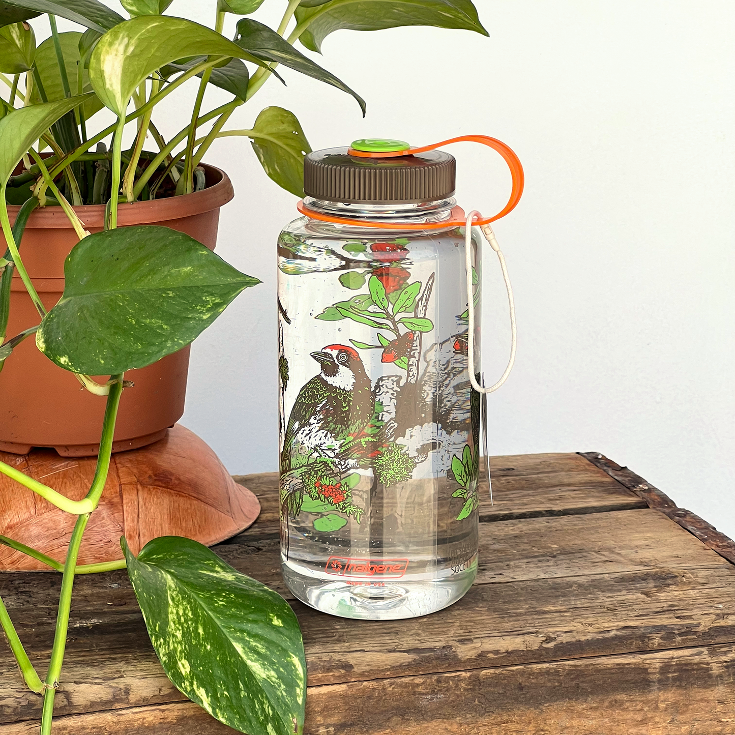 Clear water bottle with chaparral woodpecker nature-themed design on a wooden surface next to a plant