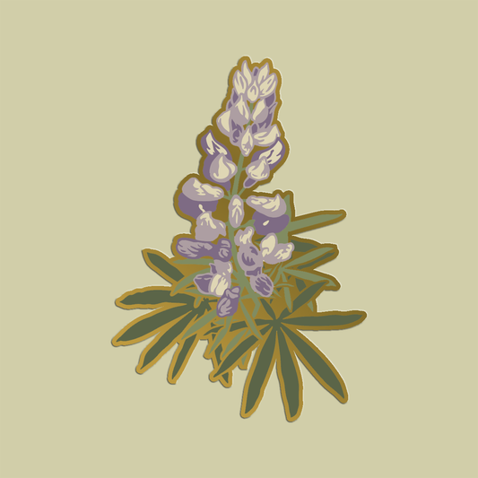 Mustard Beetle Lupine enamel pin featuring a botanical illustration of a lupine wildflower, hard enamel lapel pin for jackets, bags, and nature lovers.