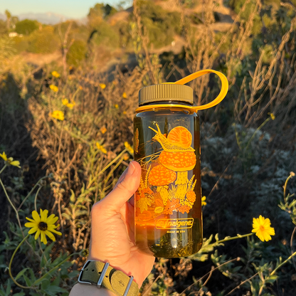Mustard Beetle Nalgene bottle, Mustard Beetle Toad illustration water bottle, limited edition Nalgene 16oz, recycled plastic Nalgene bottle, eco-friendly water bottle, BPA-free Nalgene USA made, artist illustrated water bottle, nature inspired water bottle, toad illustration bottle, small business artist Nalgene collaboration, Los Angeles illustrator Elizabeth Jean Younce, Mustard Beetle outdoor bottle, functional art water bottle, 50 percent recycled plastic bottle, collectible artist Nalgene, wide mouth N