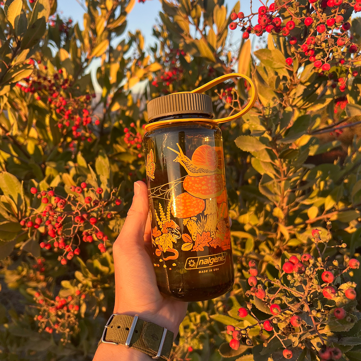 Mustard Beetle Nalgene bottle, Mustard Beetle Toad illustration water bottle, limited edition Nalgene 16oz, recycled plastic Nalgene bottle, eco-friendly water bottle, BPA-free Nalgene USA made, artist illustrated water bottle, nature inspired water bottle, toad illustration bottle, small business artist Nalgene collaboration, Los Angeles illustrator Elizabeth Jean Younce, Mustard Beetle outdoor bottle, functional art water bottle, 50 percent recycled plastic bottle, collectible artist Nalgene, wide mouth N
