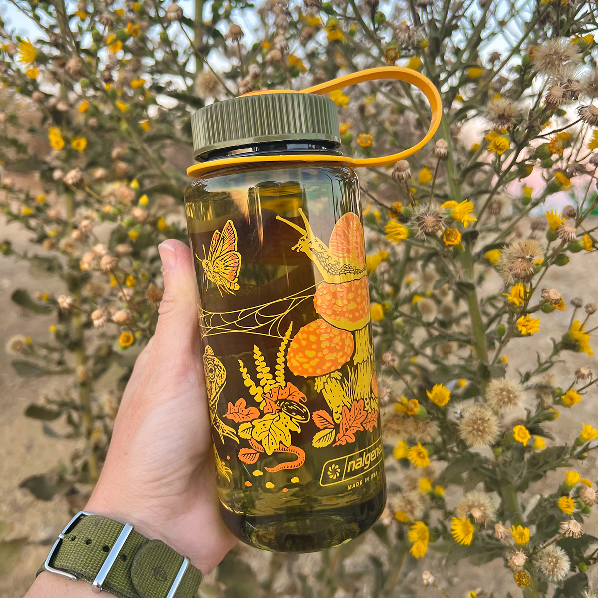 Mustard Beetle Nalgene bottle, Mustard Beetle Toad illustration water bottle, limited edition Nalgene 16oz, recycled plastic Nalgene bottle, eco-friendly water bottle, BPA-free Nalgene USA made, artist illustrated water bottle, nature inspired water bottle, toad illustration bottle, small business artist Nalgene collaboration, Los Angeles illustrator Elizabeth Jean Younce, Mustard Beetle outdoor bottle, functional art water bottle, 50 percent recycled plastic bottle, collectible artist Nalgene, wide mouth