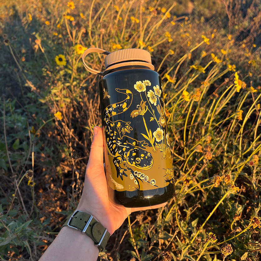 Mustard Beetle Vernal Nalgene, vernal pools illustration water bottle, California Tiger Salamander Nalgene, fairy shrimp illustration bottle, Mojave yucca artwork bottle, botanical and wildlife Nalgene, limited edition 32oz wide mouth Nalgene, eco-friendly Nalgene bottle, recycled plastic reusable bottle, BPA free Nalgene USA made, artist illustrated water bottle, Elizabeth Jean Younce design, nature ecosystem illustration bottle, spring biodiversity artwork, functional art water bottle, collectible artist 