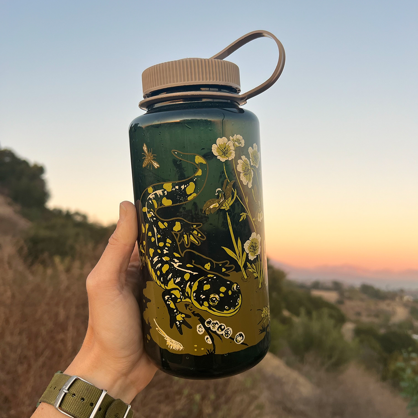 Mustard Beetle Vernal Nalgene, vernal pools illustration water bottle, California Tiger Salamander Nalgene, fairy shrimp illustration bottle, Mojave yucca artwork bottle, botanical and wildlife Nalgene, limited edition 32oz wide mouth Nalgene, eco-friendly Nalgene bottle, recycled plastic reusable bottle, BPA free Nalgene USA made, artist illustrated water bottle, Elizabeth Jean Younce design, nature ecosystem illustration bottle, spring biodiversity artwork, functional art water bottle, collectible artist 