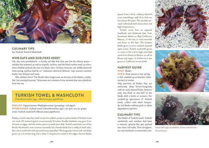 pacific harvest foraging guide, northwest coast edible plants, jennifer hahn foraging book, coastal foraging pacific northwest, wild food recipes northwest, edible seaweeds and beach greens, mushroom and berry foraging, sustainable wild harvesting book, coastal edible plant identification, foraging book with recipes, shellfish foraging guide, wild food cookbook, pnw foraging manual, edible species field guide, northwest foraging with photos