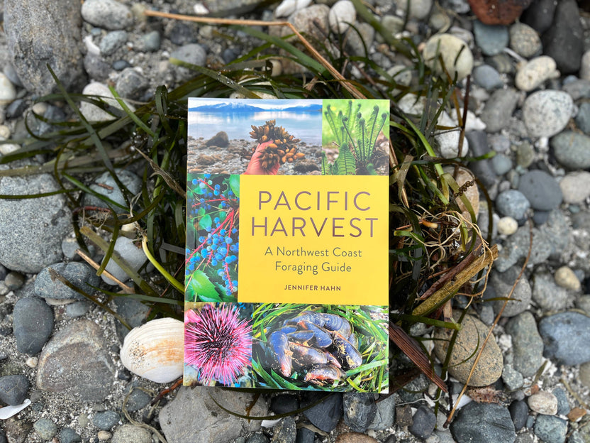 pacific harvest foraging guide, northwest coast edible plants, jennifer hahn foraging book, coastal foraging pacific northwest, wild food recipes northwest, edible seaweeds and beach greens, mushroom and berry foraging, sustainable wild harvesting book, coastal edible plant identification, foraging book with recipes, shellfish foraging guide, wild food cookbook, pnw foraging manual, edible species field guide, northwest foraging with photos