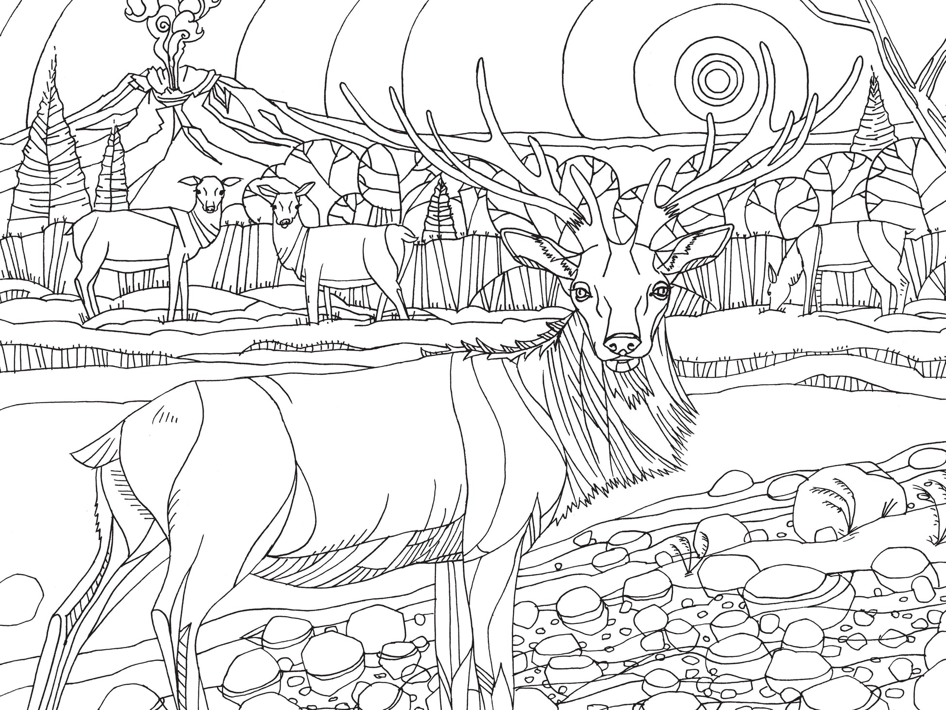pacific northwest coloring book, nature coloring book for adults, pnw flora and fauna coloring, national park coloring book, travel coloring book for nature lovers, compact coloring book, adult mindfulness coloring, camping coloring book, hiking activity book, scenic coloring book pnw, wildlife coloring book, outdoor adventure coloring, stress relief nature coloring, portable nature coloring book, black and white line art coloring