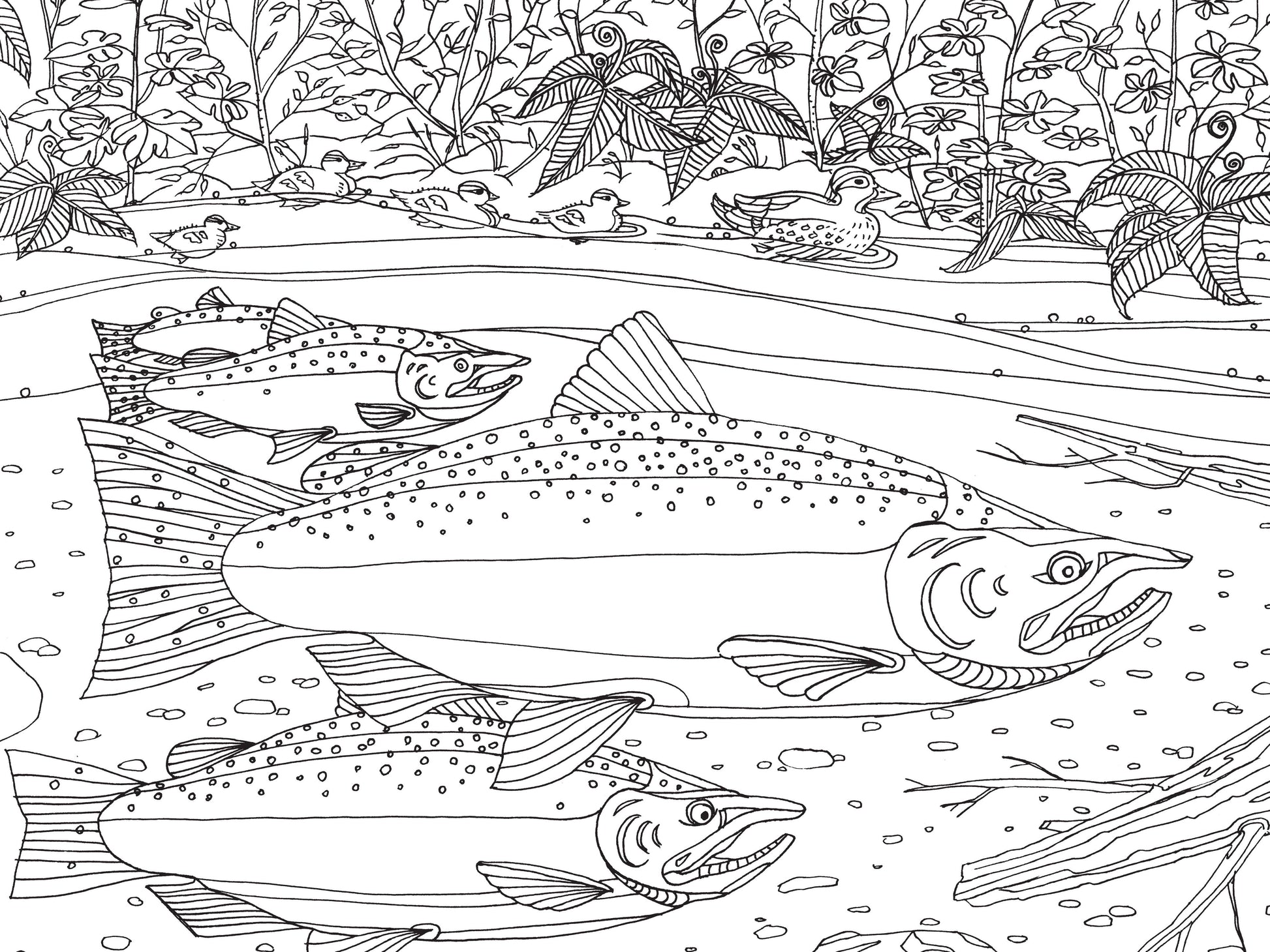 pacific northwest coloring book, nature coloring book for adults, pnw flora and fauna coloring, national park coloring book, travel coloring book for nature lovers, compact coloring book, adult mindfulness coloring, camping coloring book, hiking activity book, scenic coloring book pnw, wildlife coloring book, outdoor adventure coloring, stress relief nature coloring, portable nature coloring book, black and white line art coloring