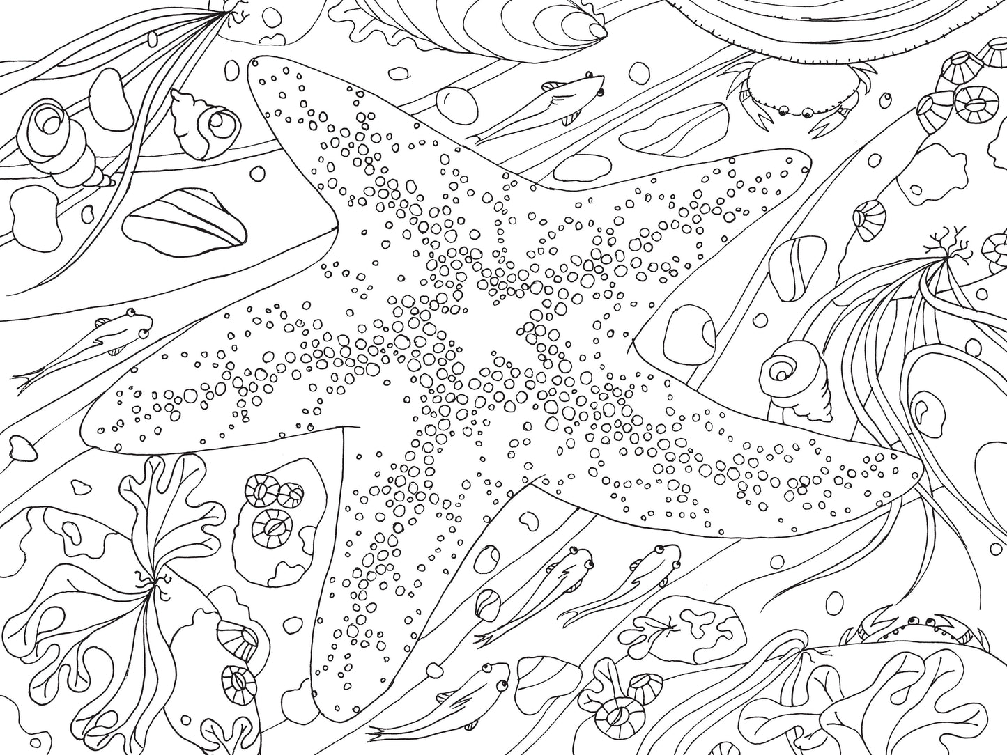 pacific northwest coloring book, nature coloring book for adults, pnw flora and fauna coloring, national park coloring book, travel coloring book for nature lovers, compact coloring book, adult mindfulness coloring, camping coloring book, hiking activity book, scenic coloring book pnw, wildlife coloring book, outdoor adventure coloring, stress relief nature coloring, portable nature coloring book, black and white line art coloring