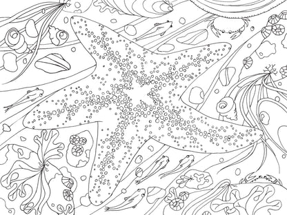pacific northwest coloring book, nature coloring book for adults, pnw flora and fauna coloring, national park coloring book, travel coloring book for nature lovers, compact coloring book, adult mindfulness coloring, camping coloring book, hiking activity book, scenic coloring book pnw, wildlife coloring book, outdoor adventure coloring, stress relief nature coloring, portable nature coloring book, black and white line art coloring