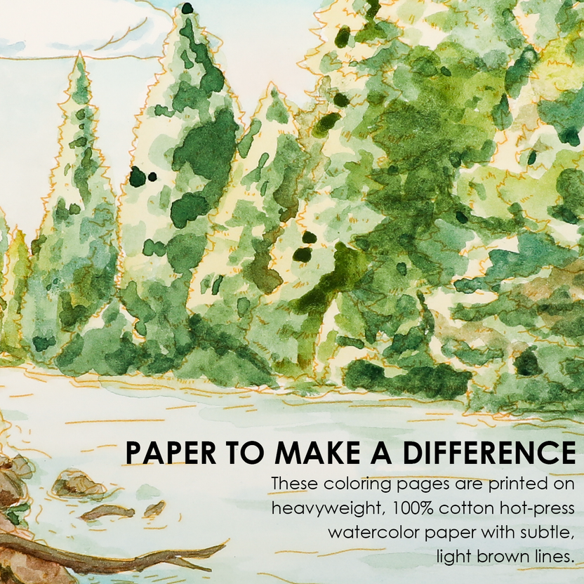 Artist painting a forest coloring page with the Grabie watercolor kit