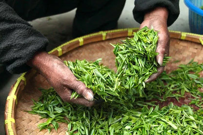 Hampstead organic biodynamic tea with fully compostable tea bags