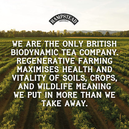 Hampstead organic biodynamic tea with fully compostable tea bags