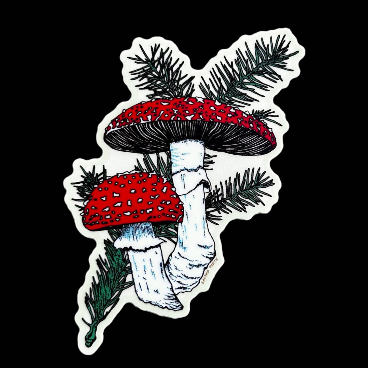 Salted Teeth sticker, Christopher Payne art, amanita muscaria sticker, mushroom vinyl sticker, forest illustration sticker, die cut sticker, indie artist sticker, conifer sprig art, moody nature sticker, waterproof mushroom sticker, woodland vinyl decal, small batch artist sticker