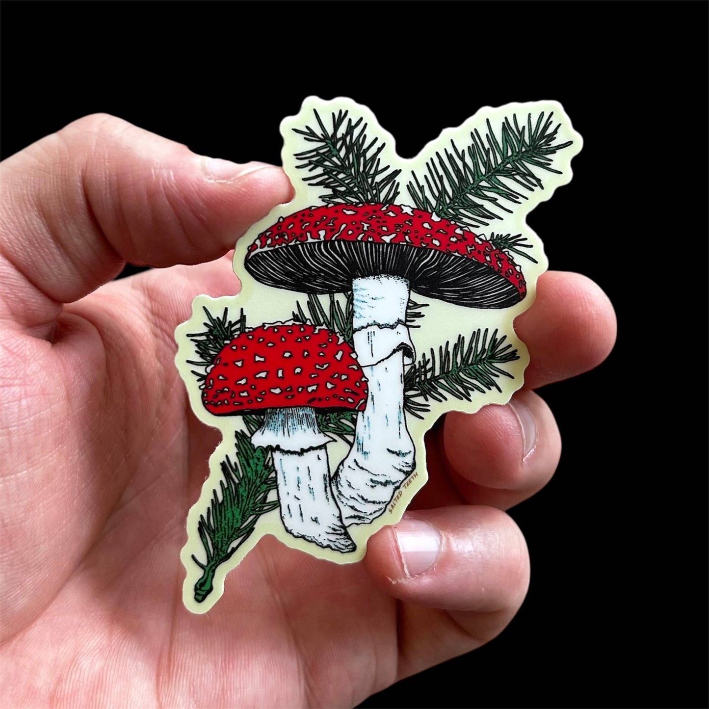 Salted Teeth sticker, Christopher Payne art, amanita muscaria sticker, mushroom vinyl sticker, forest illustration sticker, die cut sticker, indie artist sticker, conifer sprig art, moody nature sticker, waterproof mushroom sticker, woodland vinyl decal, small batch artist sticker