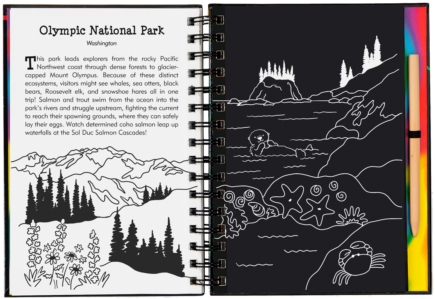 national parks scratch book, kids travel activity book, scratch art for kids, learn about US landmarks, hands-on national parks guide, educational art book, national parks for young explorers, scratch and sketch USA, interactive national park book, creative kids gift, junior ranger activities, adventure art book for kids, tracing book with stylus, national park craft book