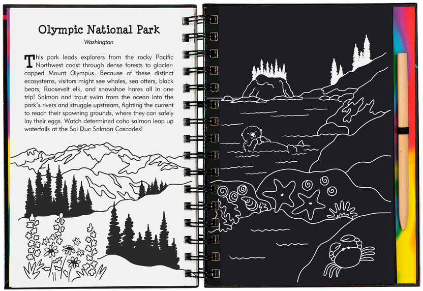 national parks scratch book, kids travel activity book, scratch art for kids, learn about US landmarks, hands-on national parks guide, educational art book, national parks for young explorers, scratch and sketch USA, interactive national park book, creative kids gift, junior ranger activities, adventure art book for kids, tracing book with stylus, national park craft book