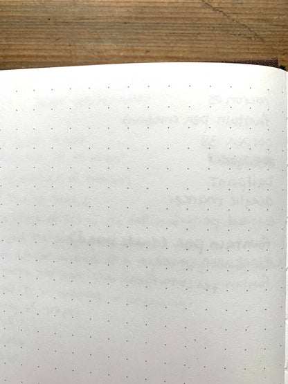 RPG dot grid journal, B6 gaming notebook, Dungeons and Dragons journal, vegan leather RPG notebook, fantasy game campaign planner, tabletop RPG accessories, The Antiquarian journal, world-building notebook, character tracking notebook, portable gaming sketchbook