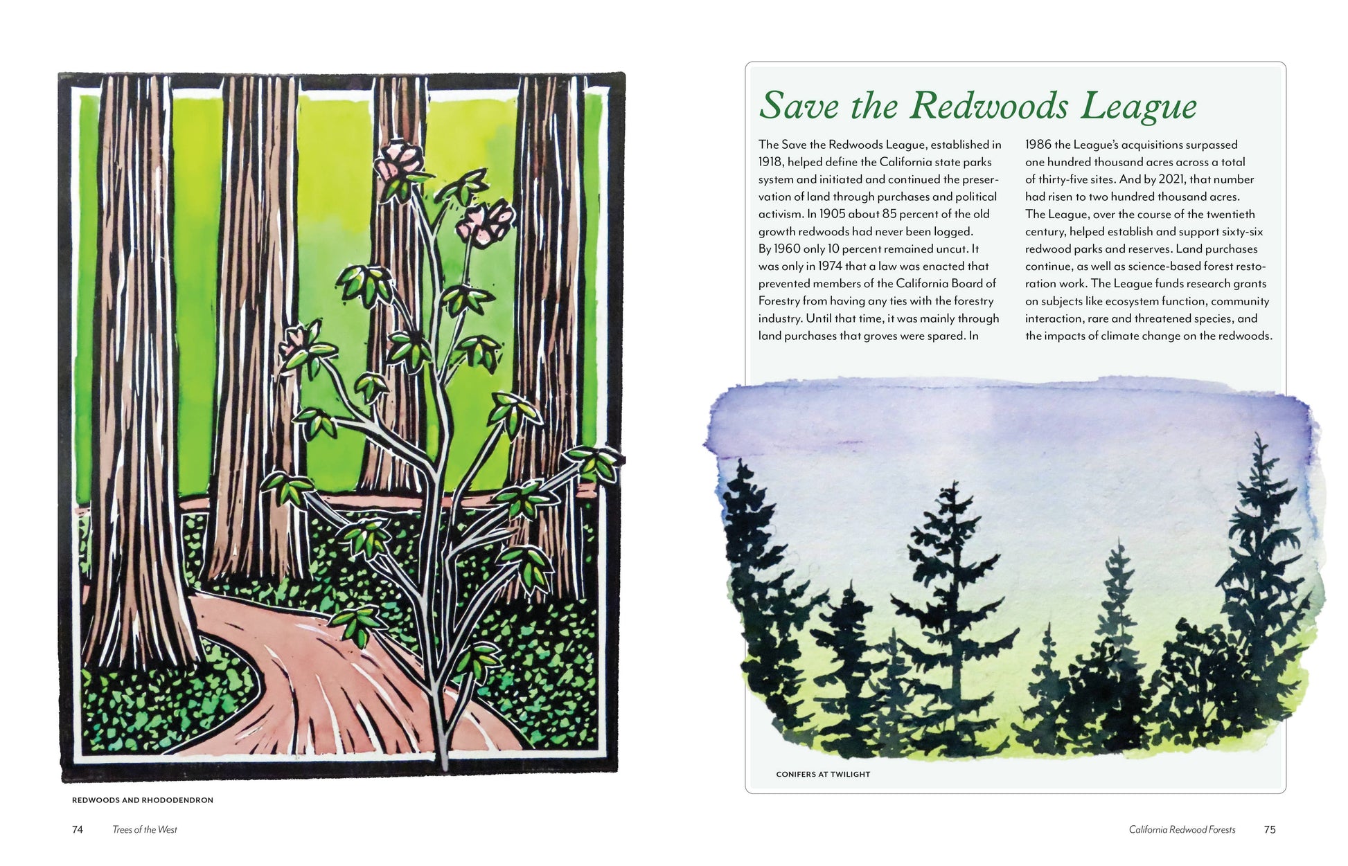 trees of the west book, artist guide to western trees, illustrated tree book, tree identification with art, natural history of trees, ethnobotanical tree guide, watercolor tree illustrations, tree sketchbook reference, art book for nature lovers, tree poetry and quotes, western north america trees, botanical art guide, drawing trees reference, tree field guide with drawings, trees and art connection
