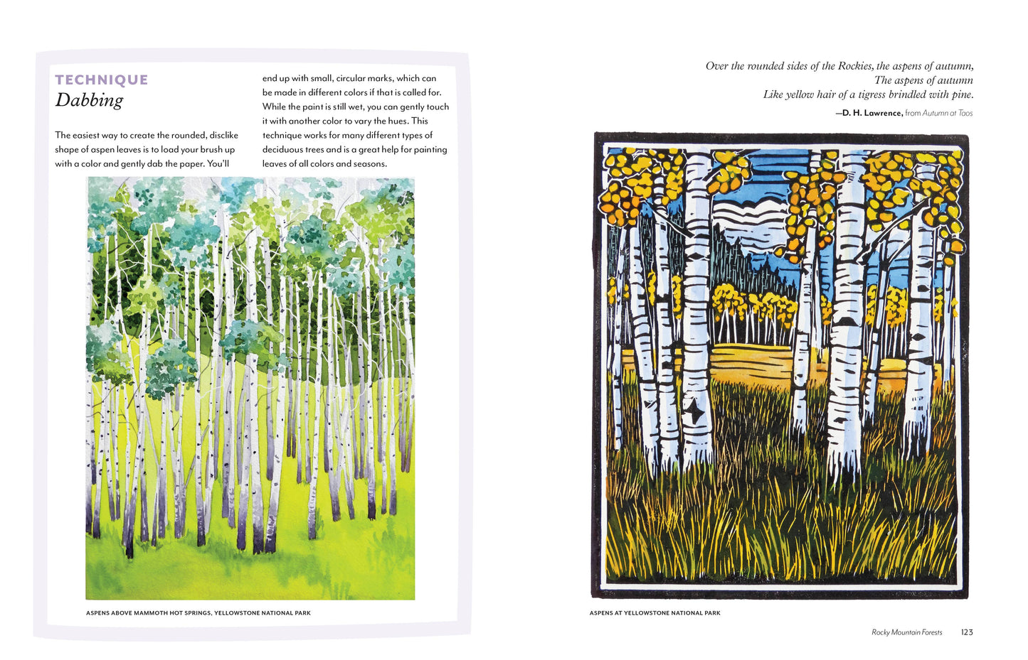 trees of the west book, artist guide to western trees, illustrated tree book, tree identification with art, natural history of trees, ethnobotanical tree guide, watercolor tree illustrations, tree sketchbook reference, art book for nature lovers, tree poetry and quotes, western north america trees, botanical art guide, drawing trees reference, tree field guide with drawings, trees and art connection