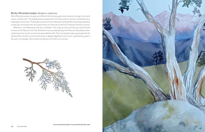 trees of the west book, artist guide to western trees, illustrated tree book, tree identification with art, natural history of trees, ethnobotanical tree guide, watercolor tree illustrations, tree sketchbook reference, art book for nature lovers, tree poetry and quotes, western north america trees, botanical art guide, drawing trees reference, tree field guide with drawings, trees and art connection
