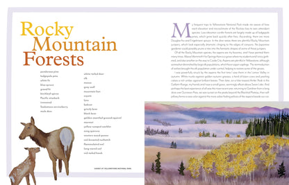 trees of the west book, artist guide to western trees, illustrated tree book, tree identification with art, natural history of trees, ethnobotanical tree guide, watercolor tree illustrations, tree sketchbook reference, art book for nature lovers, tree poetry and quotes, western north america trees, botanical art guide, drawing trees reference, tree field guide with drawings, trees and art connection