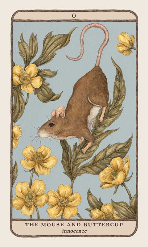 woodland wardens oracle deck, jessica roux oracle cards, flora and fauna oracle, illustrated oracle deck, woodland animals tarot, nature-based oracle cards, oracle deck with guidebook, floriography artist oracle, woodland spirituality deck, herbal oracle deck, animal spirit card set, oracle deck for beginners, myth and folklore oracle, woodland divination cards, beautifully illustrated oracle deck